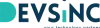 Devsinc company logo — SVP E-Commerce & Digital Retail